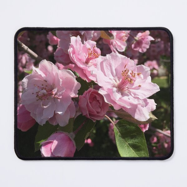 Item preview, Plum Blossoms designed and sold by Jenna Coffin.
