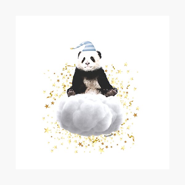 Bear dreams Photographic Print