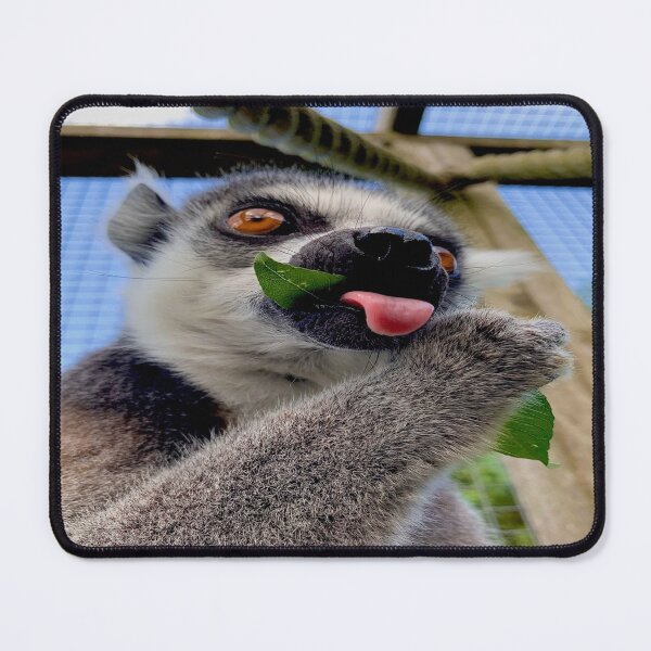 Item preview, This leaf is tasty designed and sold by LaughingDonkey.