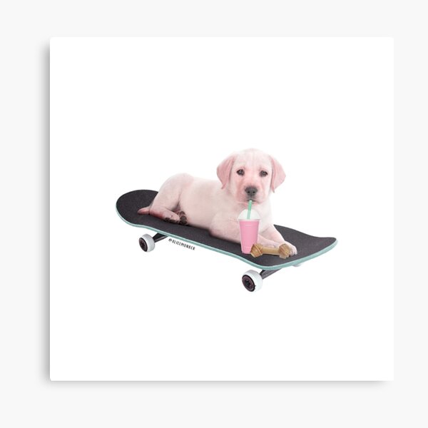 Skeatboard dog by Alice Monber Metal Print