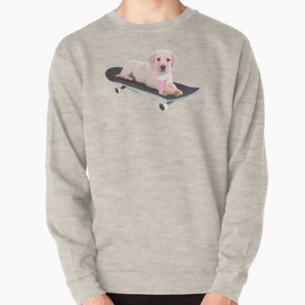 Skeatboard dog by Alice Monber Pullover Sweatshirt