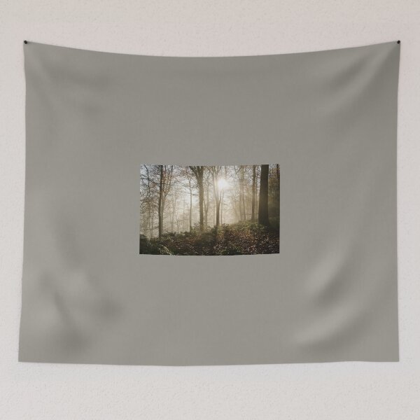 Item preview, Sunlight Through Misty Trees designed and sold by Carolyn Eaton.