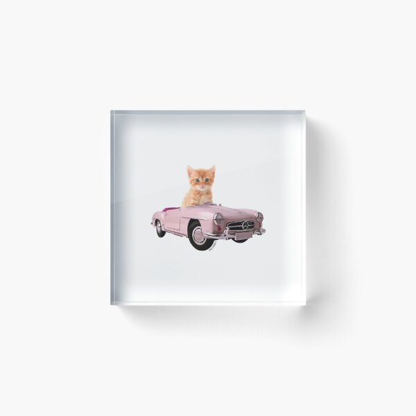 Cat pink car Acrylic Block