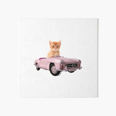 Cat pink car Art Board Print