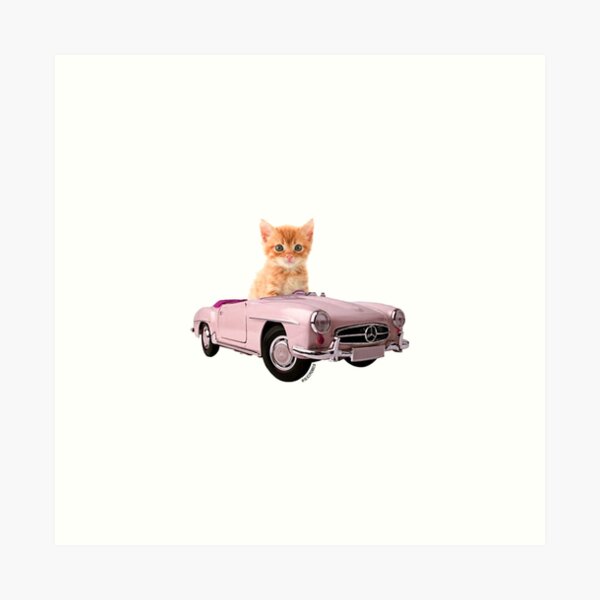 Cat pink car Art Print