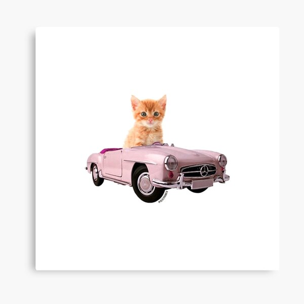 Cat pink car Canvas Print