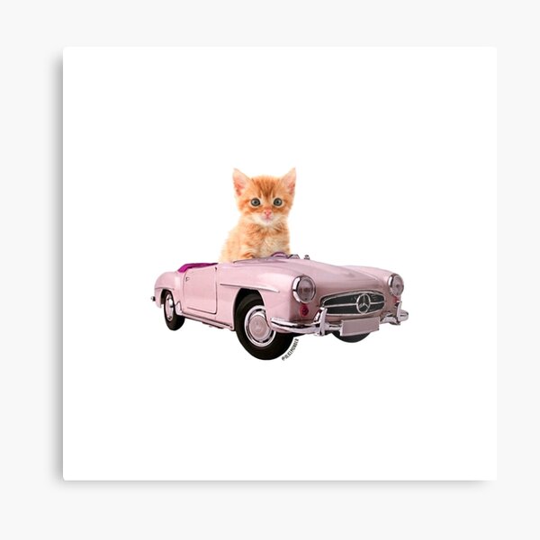 Cat pink car  Metal Print