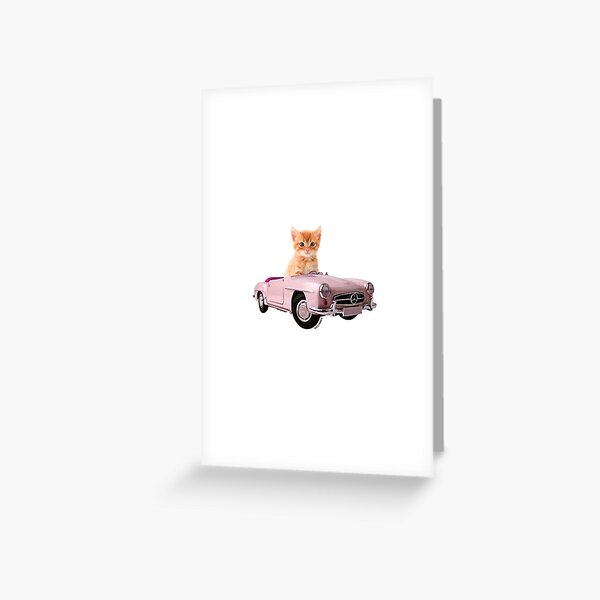 Cat pink car  Greeting Card