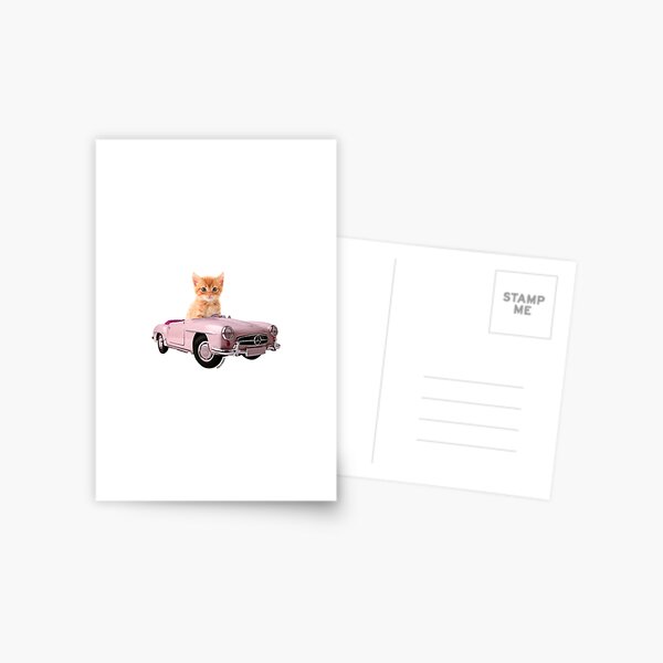 Cat pink car Postcard