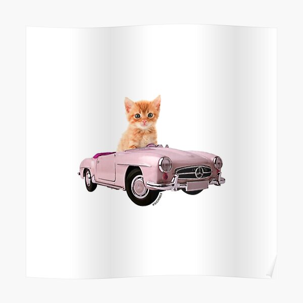 Cat pink car  Poster