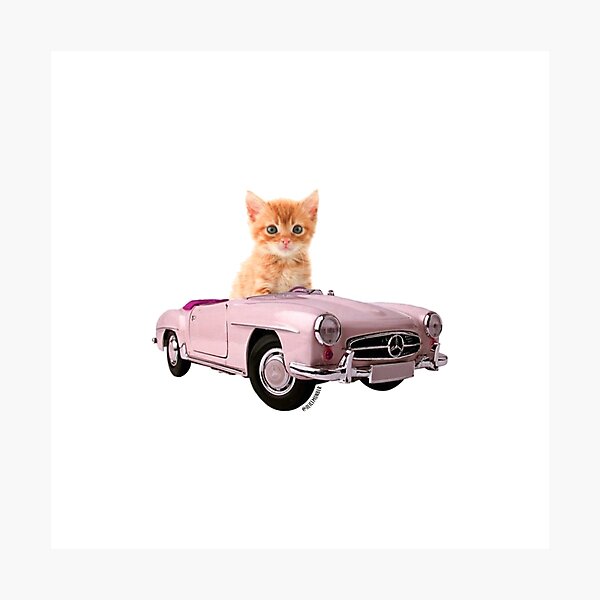 Cat pink car Photographic Print