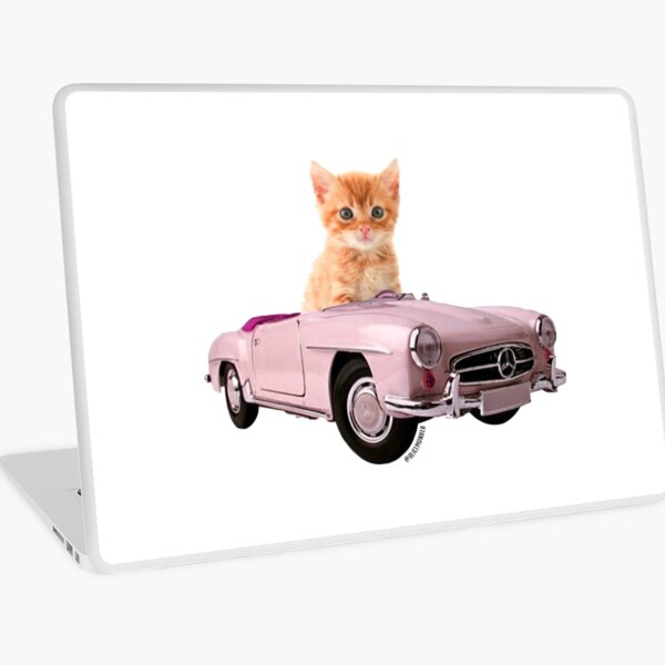 Cat pink car Laptop Skin