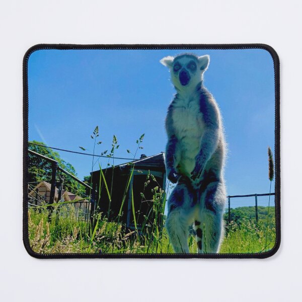 Item preview, Well that is one shocked lemur designed and sold by LaughingDonkey.