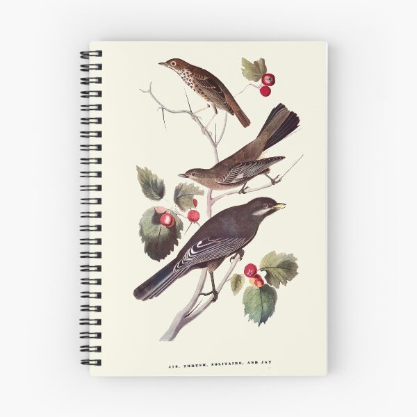 Item preview, Thrush, Solitaire, and Jay - Audubon designed and sold by sanerevolution.