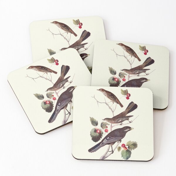 Item preview, Thrush, Solitaire, and Jay - Audubon designed and sold by sanerevolution.