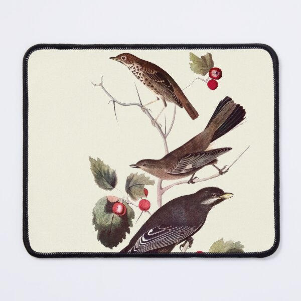 Item preview, Thrush, Solitaire, and Jay - Audubon designed and sold by sanerevolution.
