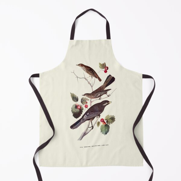 Item preview, Thrush, Solitaire, and Jay - Audubon designed and sold by sanerevolution.