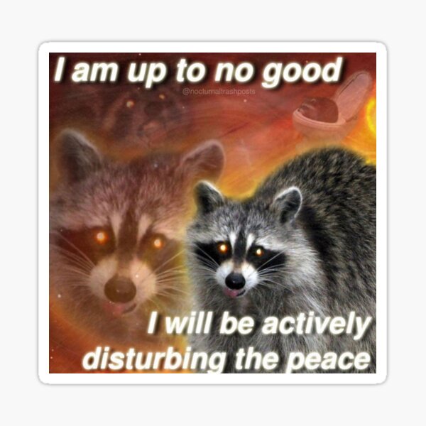 Menace to raccoon society Sticker