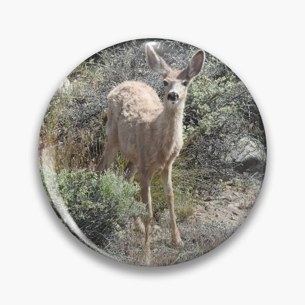 Item preview, Mule deer, wildlife, gifts, Wild Cutie designed and sold by Sandra O'Toole.