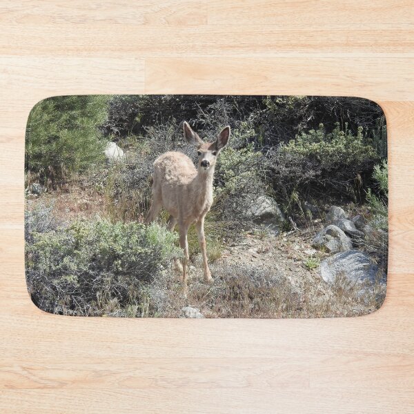 Item preview, Mule deer, wildlife, gifts, Wild Cutie designed and sold by Sandra O'Toole.