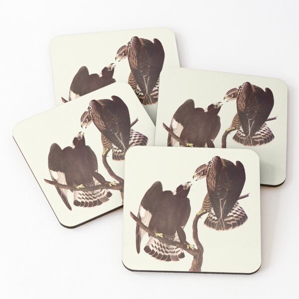 Item preview, Rough-legged Hawk - Audubon designed and sold by sanerevolution.