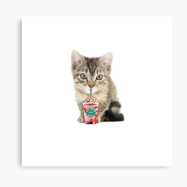 Cat milkshake by Alice Monber Metal Print