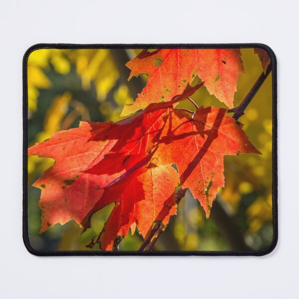 Item preview, Canadian Autumn designed and sold by Jola Martysz.