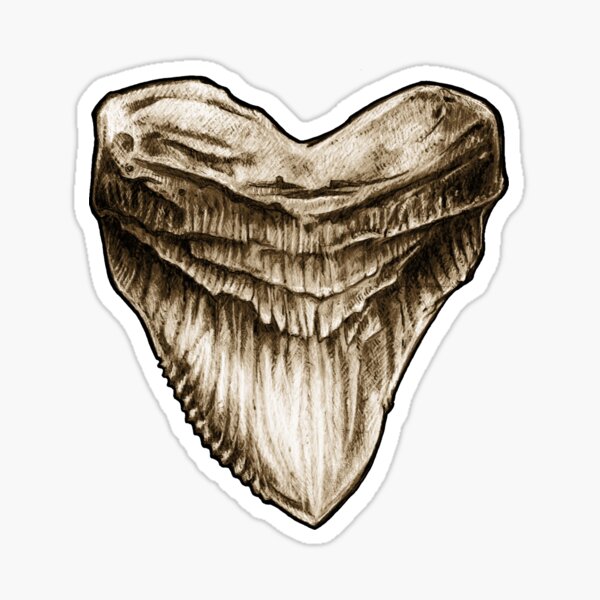 Megalodon Tooth Fossil Sticker