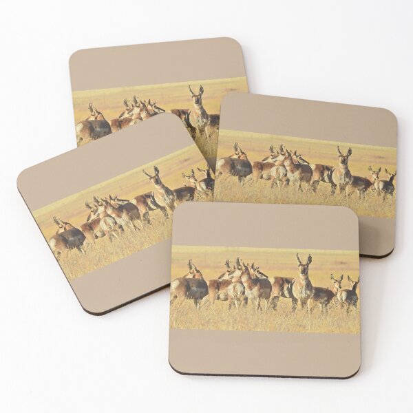 Item preview, Pronghorn, Antelope, Wildlife, gifts, Life of the Herd designed and sold by Sandra O'Toole.