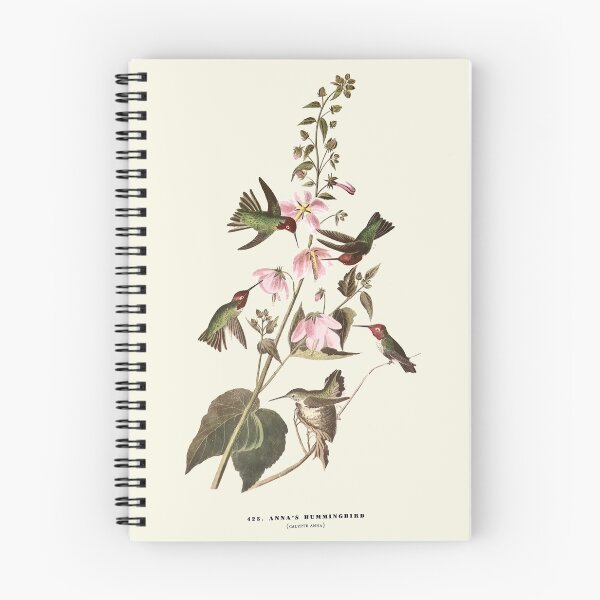 Item preview, Anna's Hummingbird - Audubon designed and sold by sanerevolution.