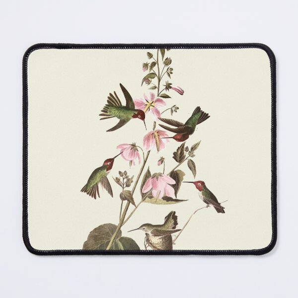 Item preview, Anna's Hummingbird - Audubon designed and sold by sanerevolution.