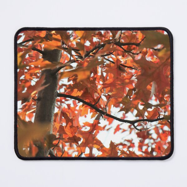 Item preview, October Orange designed and sold by RVogler.