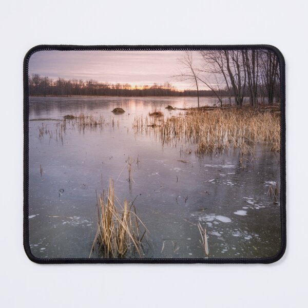 Item preview, Beaver Place designed and sold by Jola Martysz.