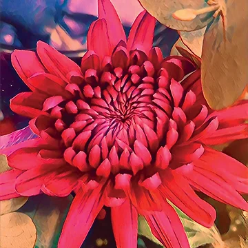 Artwork thumbnail, Waratah Wonder by RandaRubyRed