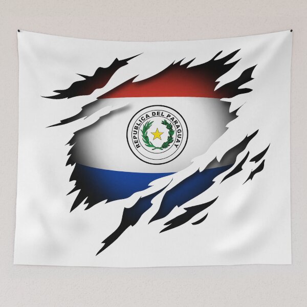Item preview, Paraguay in the Heart designed and sold by onicon.