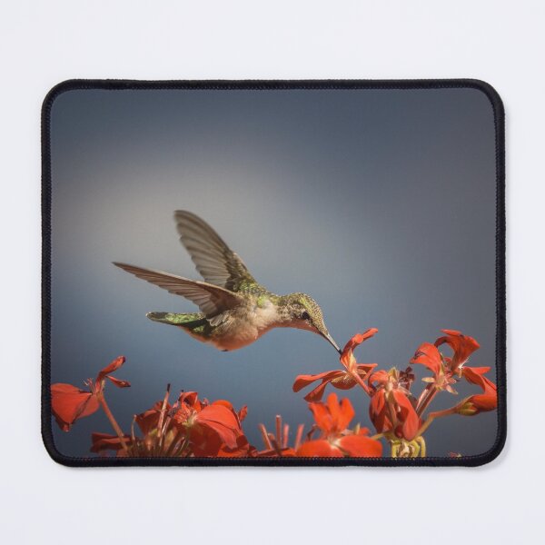 Item preview, Colibri - My Summer Visitor designed and sold by Jola Martysz.