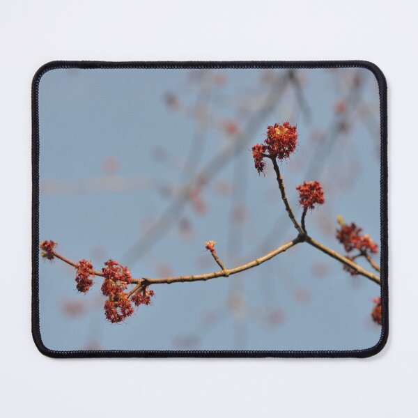 Item preview, Spring Promise designed and sold by Jola Martysz.