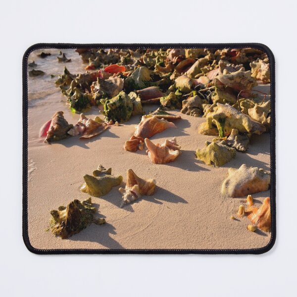 Item preview, Conch Collection designed and sold by Jola Martysz.