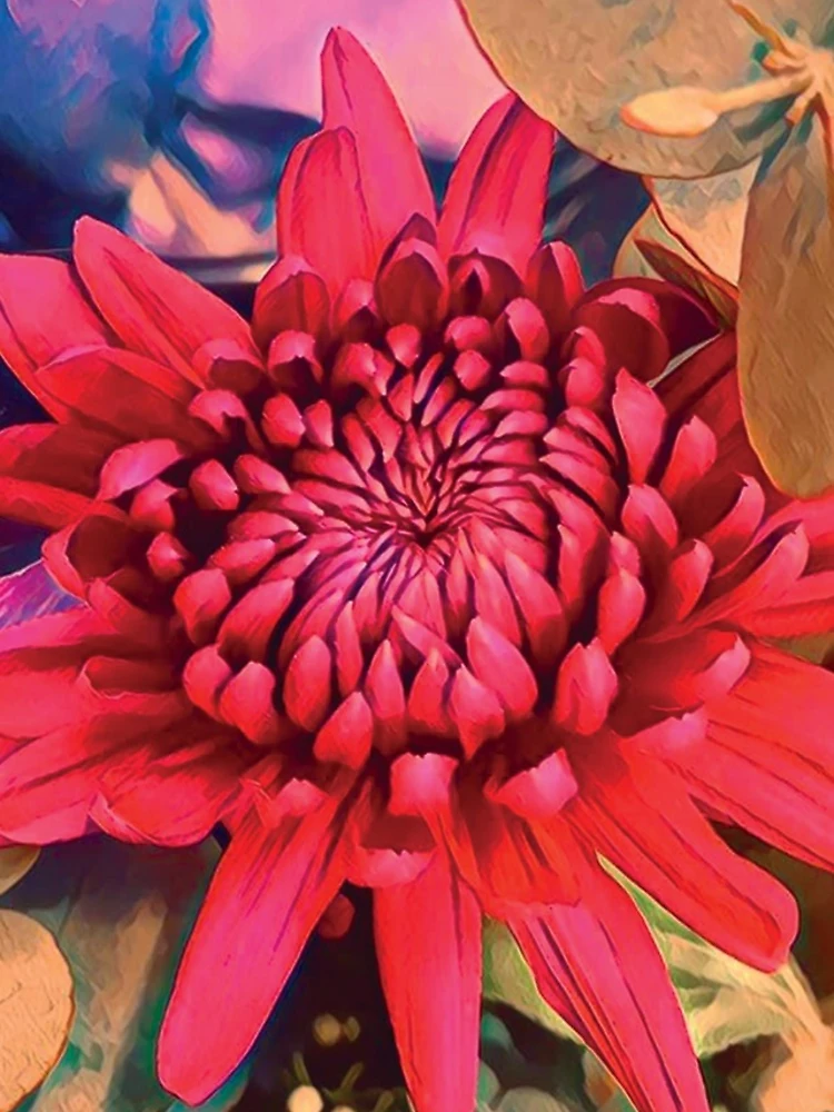 Thumbnail 4 of 4, iPhone Case, Waratah Wonder designed and sold by RandaRubyRed.