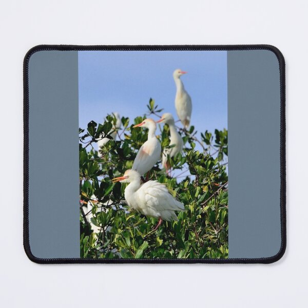 Item preview, Birds Quartet designed and sold by Jola Martysz.