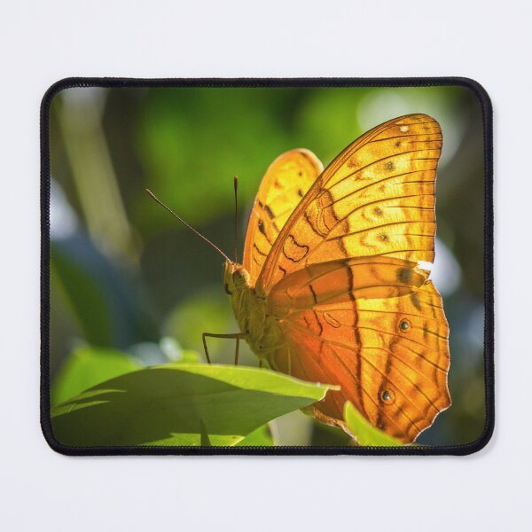 Item preview, Orange Butterfly designed and sold by Jola Martysz.