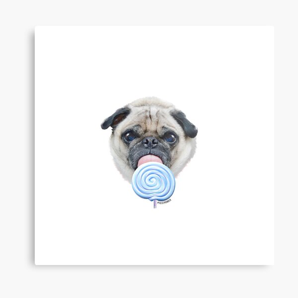 Dog Lollipop by Alice Monber Metal Print