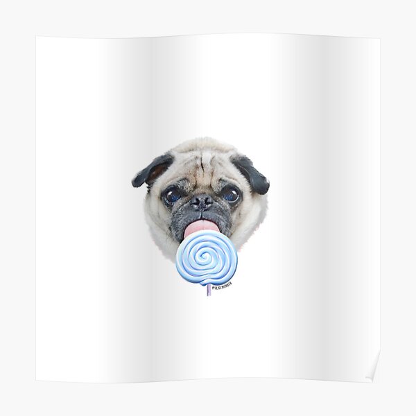 Dog Lollipop by Alice Monber Poster