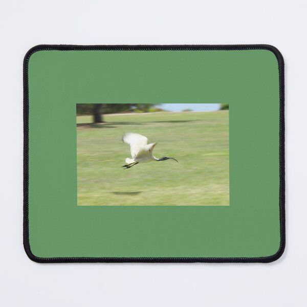 Item preview, Flying Ibis designed and sold by Jola Martysz.