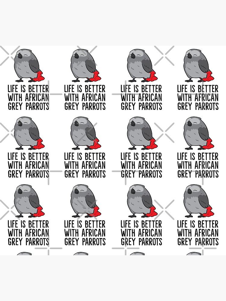 Discover Life Is Better With African Grey Parrots Socks
