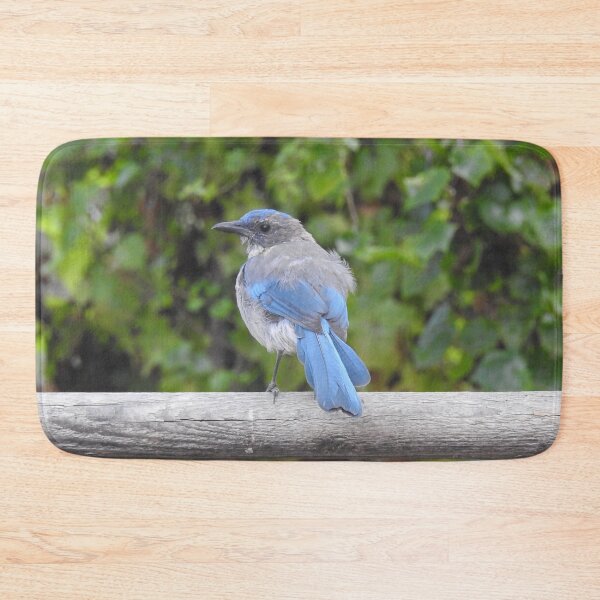 Item preview, Western scrub-jay, birds, wildlife gifts designed and sold by Sandra O'Toole.