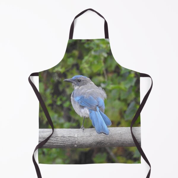 Item preview, Western scrub-jay, birds, wildlife gifts designed and sold by Sandra O'Toole.