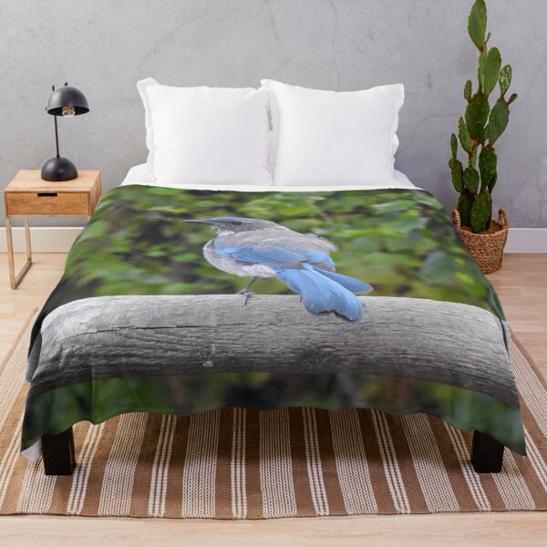 Item preview, Western scrub-jay, birds, wildlife gifts designed and sold by Sandra O'Toole.