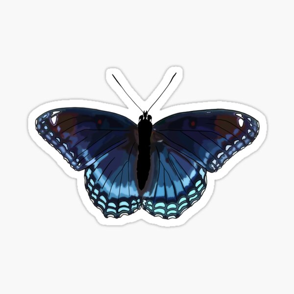 Morpho Butterfly Sticker By Katschuetz Redbubble