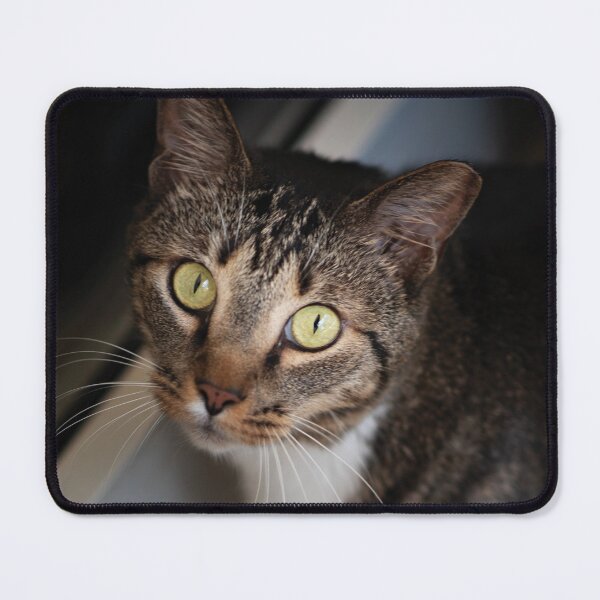 Item preview, Cute cat look designed and sold by flamendes.